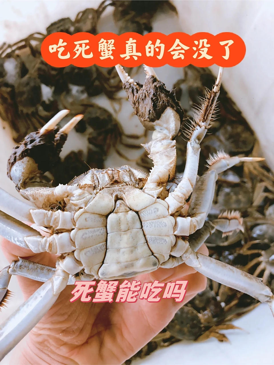 螃蟹死了两个小时能吃吗