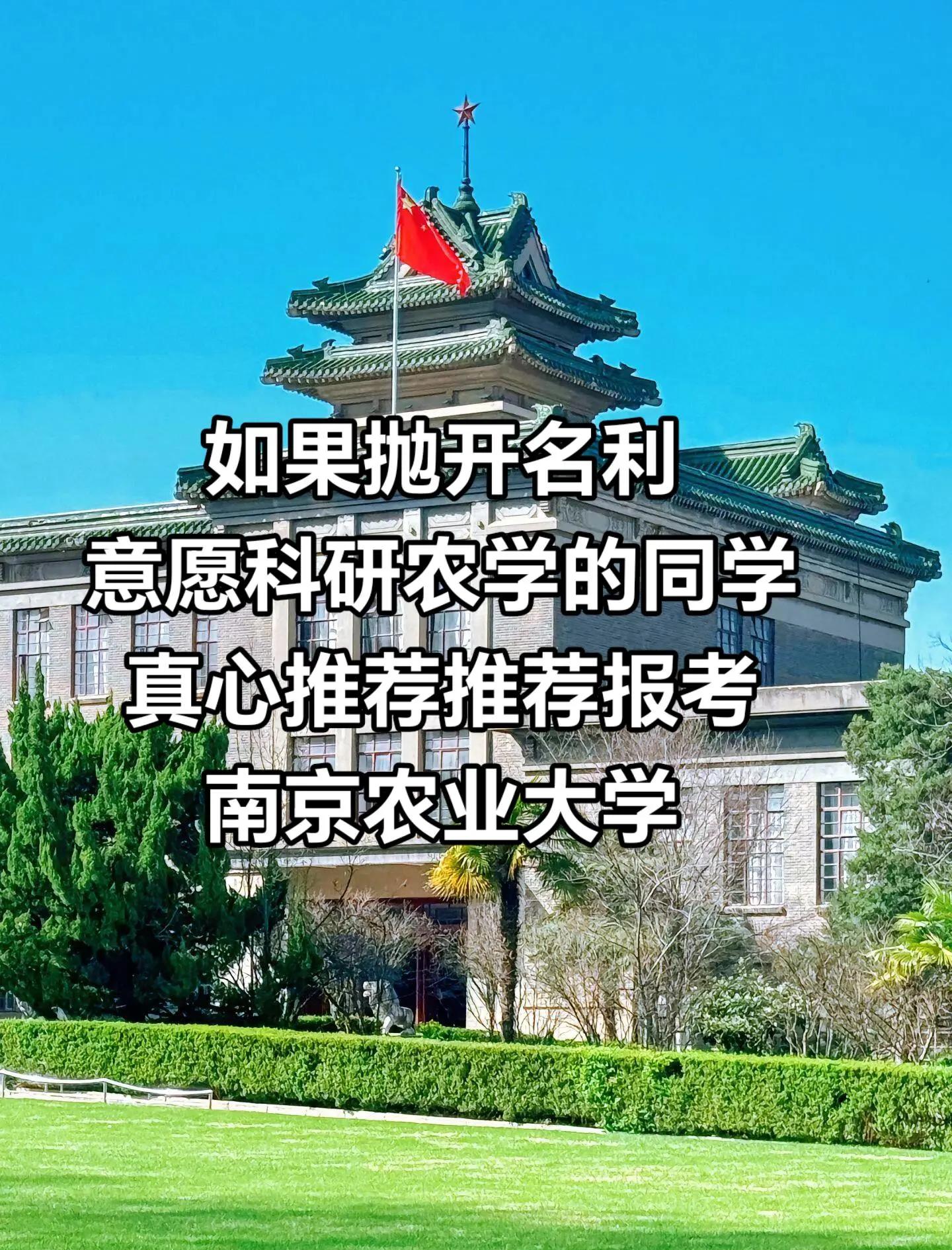 南京农业大学是985还是211