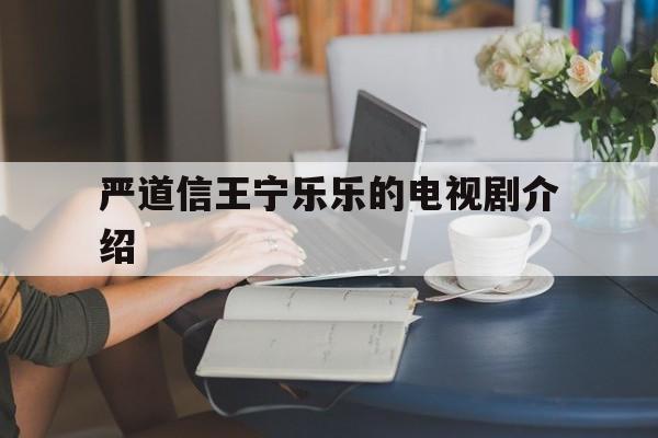 严道信王宁乐乐的电视剧介绍